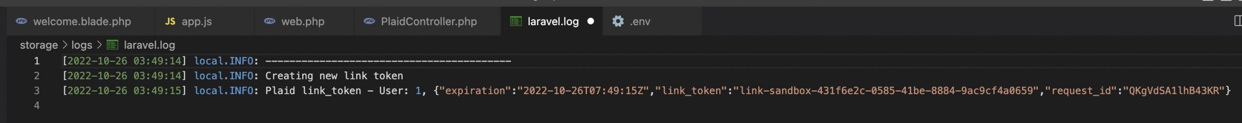 laravel.log file